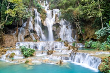 Full-day Pak Ou cave and Kuang Si waterfall trip